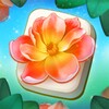 艾米直播